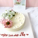 Bánh Mousse Xoài Đặc Biệt